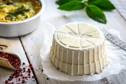 Borner Cheesemaker & Multimaker med fräscht lock, sikt salladsskål serveringsskål, gör din egen färskost hemma grön