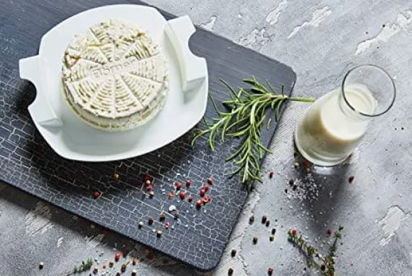 Borner Cheesemaker & Multimaker med fräscht lock, sikt salladsskål serveringsskål, gör din egen färskost hemma grön