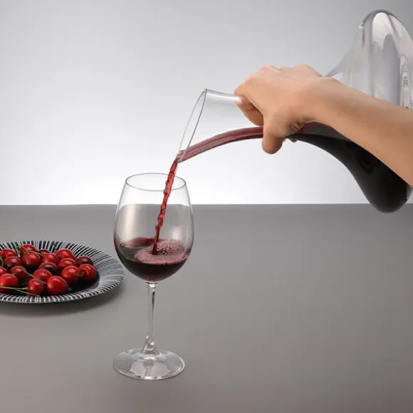 CLITON Vinkaraff, Snabb Vinluftare i Glas, Hällare och Karaff för Hemmabruk, Vinflaskpropp