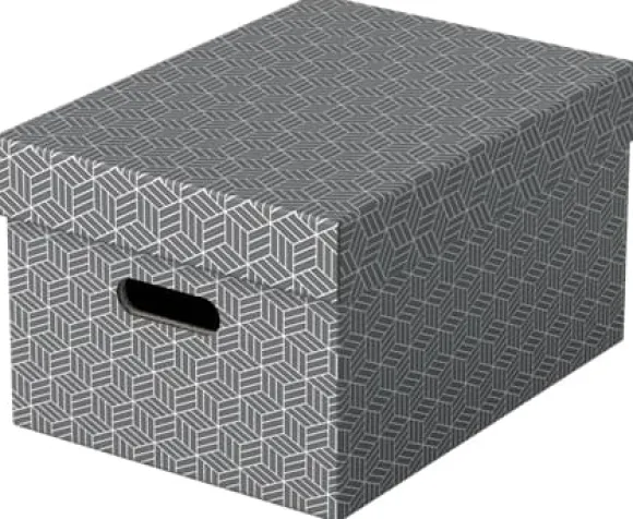 Esselte Home - Förvaringsbox - medium - grå (paket om 3)