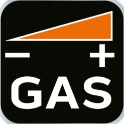 Gasspis