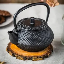 Gjutjärn tekanna infuser 0,3L KINGHOFF KH-1817