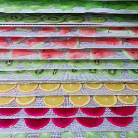 Kök Non-stick Silikon Dehydrator Sheets för Frukt Återanvändbara Mat Dehydrator Sheets Torktumlare Mesh