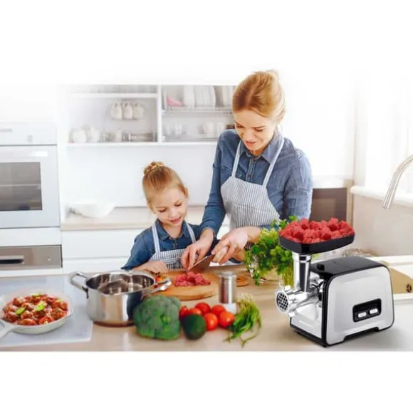 Köttkvarn BD-601A Berdsen 450/1200W
