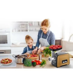Köttkvarn BD-601B Berdsen 450/1200W