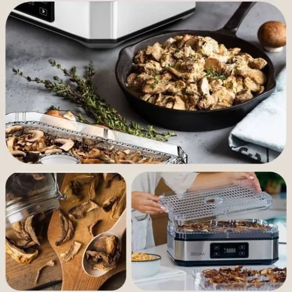 Livsmedelstork - ZEEGMA - Dry Chef - 6 Brickor - Timer 0-72h - Temperatur 35-70°C