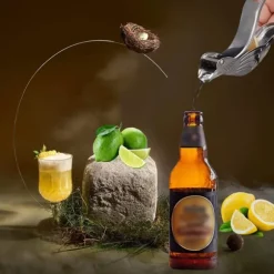Manuell citruspress Rostfritt stål