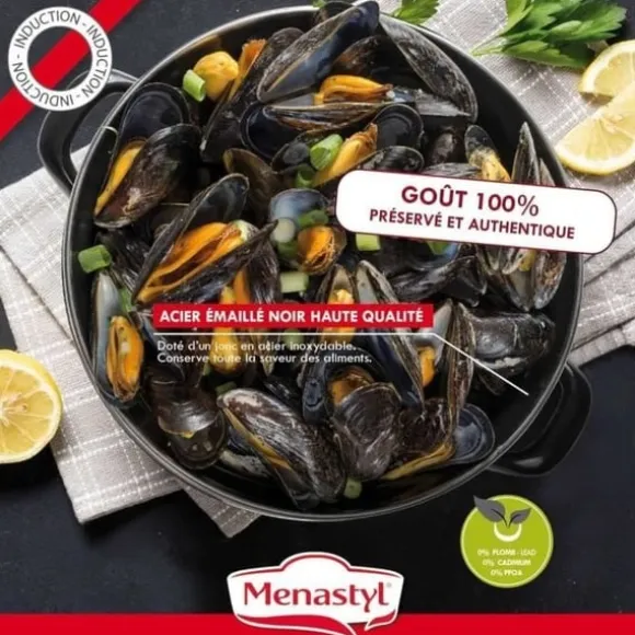 Musselgryta - MENASTYL - 3645567 - Emaljerat stål - Svart - 18 cm - 2,7 liter - Lämplig för alla spishällar inklusive induktion