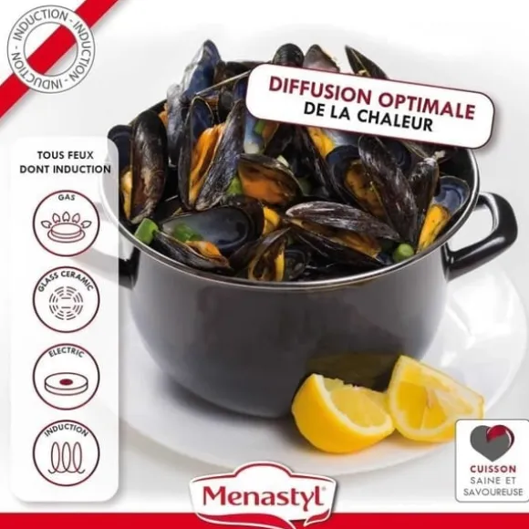 Musselgryta - MENASTYL - 3645567 - Emaljerat stål - Svart - 18 cm - 2,7 liter - Lämplig för alla spishällar inklusive induktion