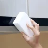 Nano Svampar - Magisk Nano Svamp 10 stycken