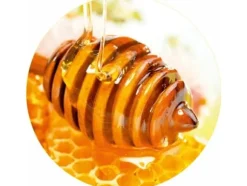 Okko Lids for jars to82 honey mix packed 10pc