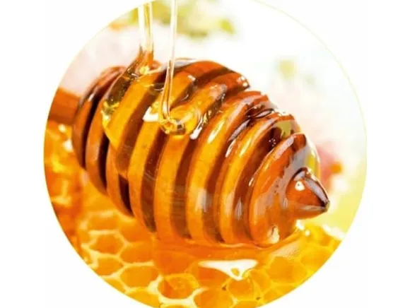 Okko Lids for jars to82 honey mix packed 10pc