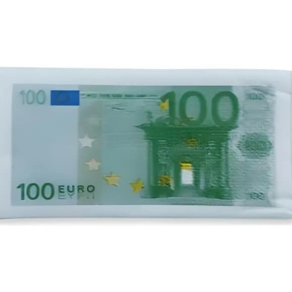 Pappersnäsdukar - Sedlar 100 euro - 10 enheter - Dimensioner 105 x 54 mm