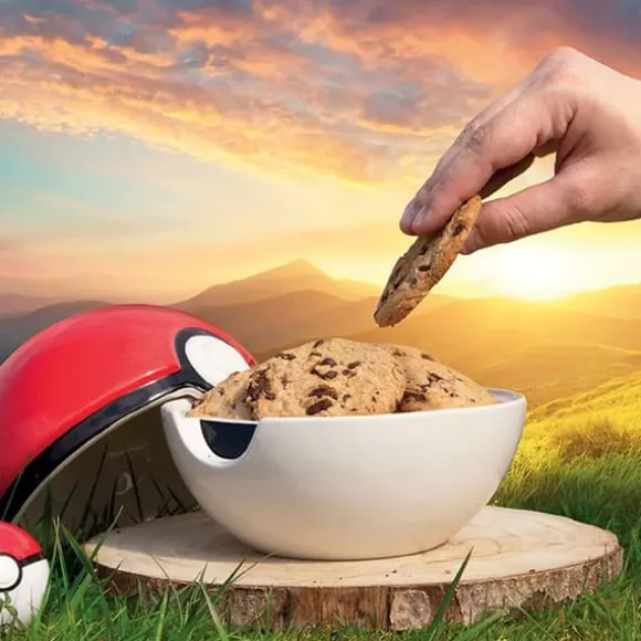 Pokemon Pokeball Kakburk