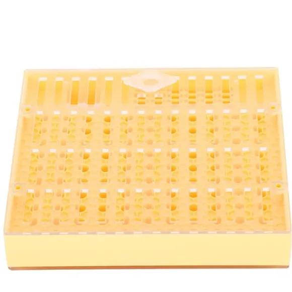 Portable Bee King Incubator - Ett säkert och effektivt biodlingsverktyg