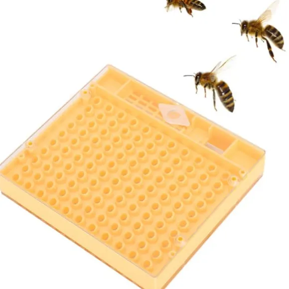 Portable Bee King Incubator - Ett säkert och effektivt biodlingsverktyg