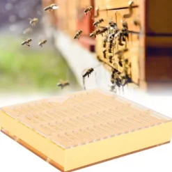 Portable Bee King Incubator - Ett säkert och effektivt biodlingsverktyg