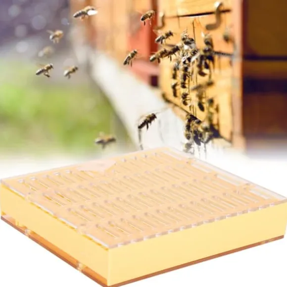 Portable Bee King Incubator - Ett säkert och effektivt biodlingsverktyg