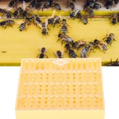 Portable Bee King Incubator - Ett säkert och effektivt biodlingsverktyg