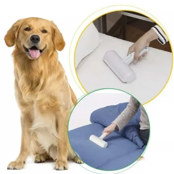 Roller Hårborttagare för Hund och Katthår Vit