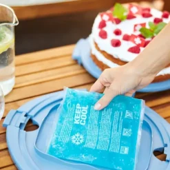 Rotho Fresh Cake Box Cool & Horizon Blå