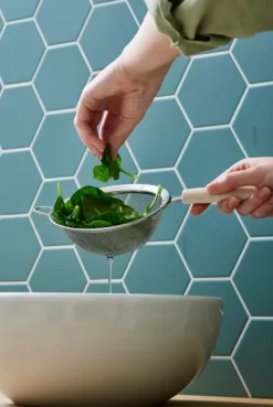Sil BIO Gastomax