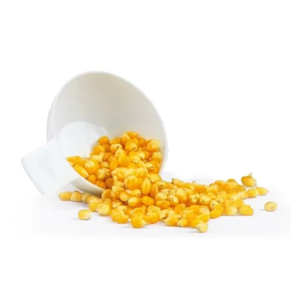 Silva Homeline PM 440 Popcornmaskin Vit