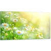 SKÄRBRÄDA I GLAS 52x30 BLOMMOR