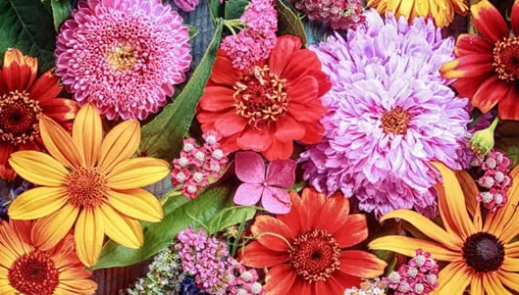 SKÄRBRÄDA I GLAS 52x30 BLOMMOR
