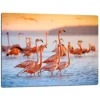 SKÄRBRÄDA I GLAS 52x40 FLAMINGO BEACH