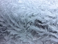 SKÄRBRÄDA I GLAS 52x40 FROST