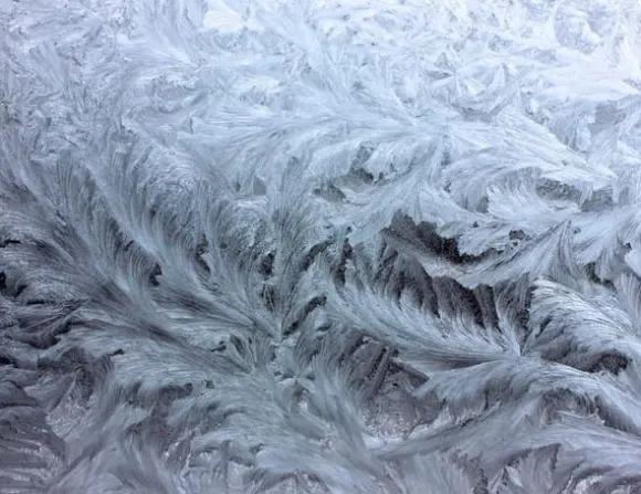 SKÄRBRÄDA I GLAS 52x40 FROST