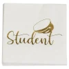 Student Servetter 16-pack, 33 cm