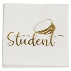 Student Servetter 16-pack, 33 cm