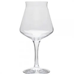 Teku Ölprovarglas 4.0 33cl, 6-pack - Rastal