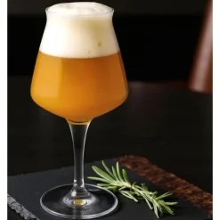 Teku Ölprovarglas 3.0 42cl, 6-pack - Rastal