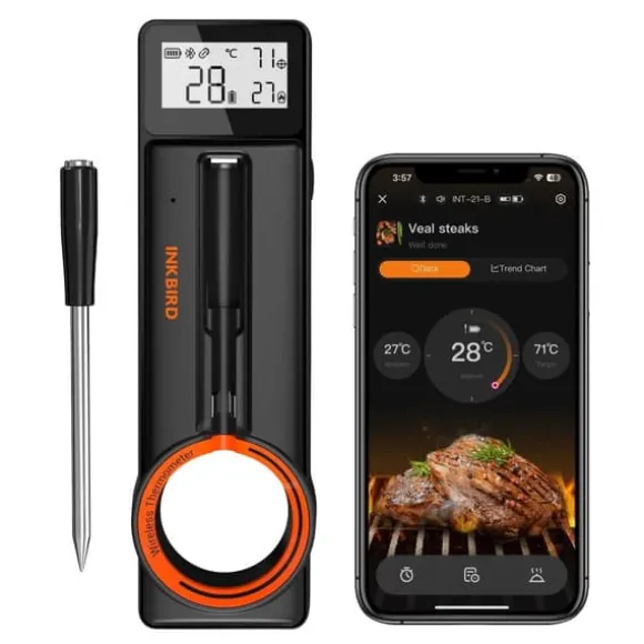 Trådlös BBQ-termometer,INT-21-B
