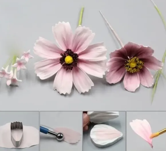 Tusensköna Daisy Petal Veiner
