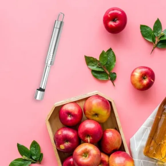 Vide pomme i rostfritt stål Fackelmann Ovala