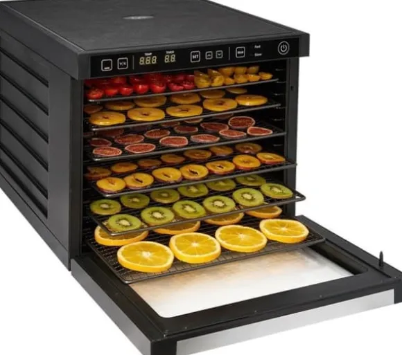 Zyle frukttork, ZY100FD